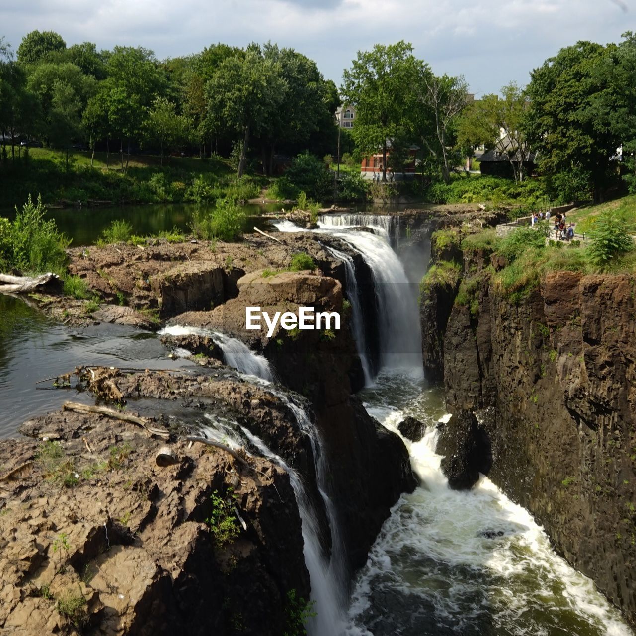 Scenic view of waterfall in forest