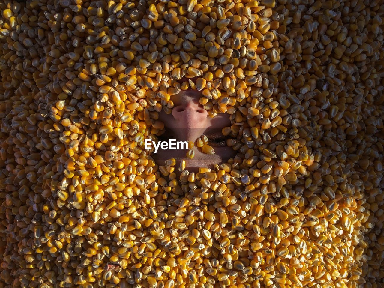 Directly above shot of child covered with corn kernels