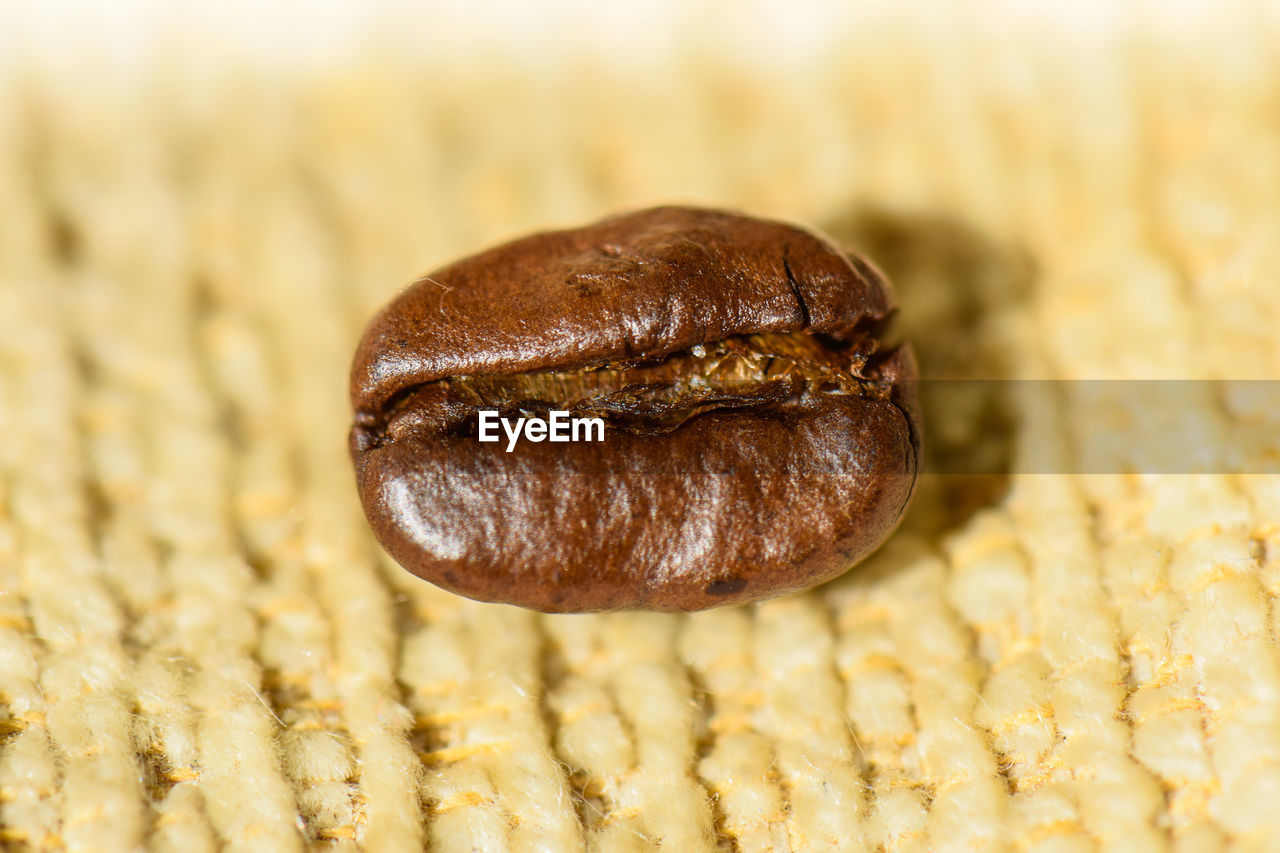 Close-up of roasted coffee bean on fabric