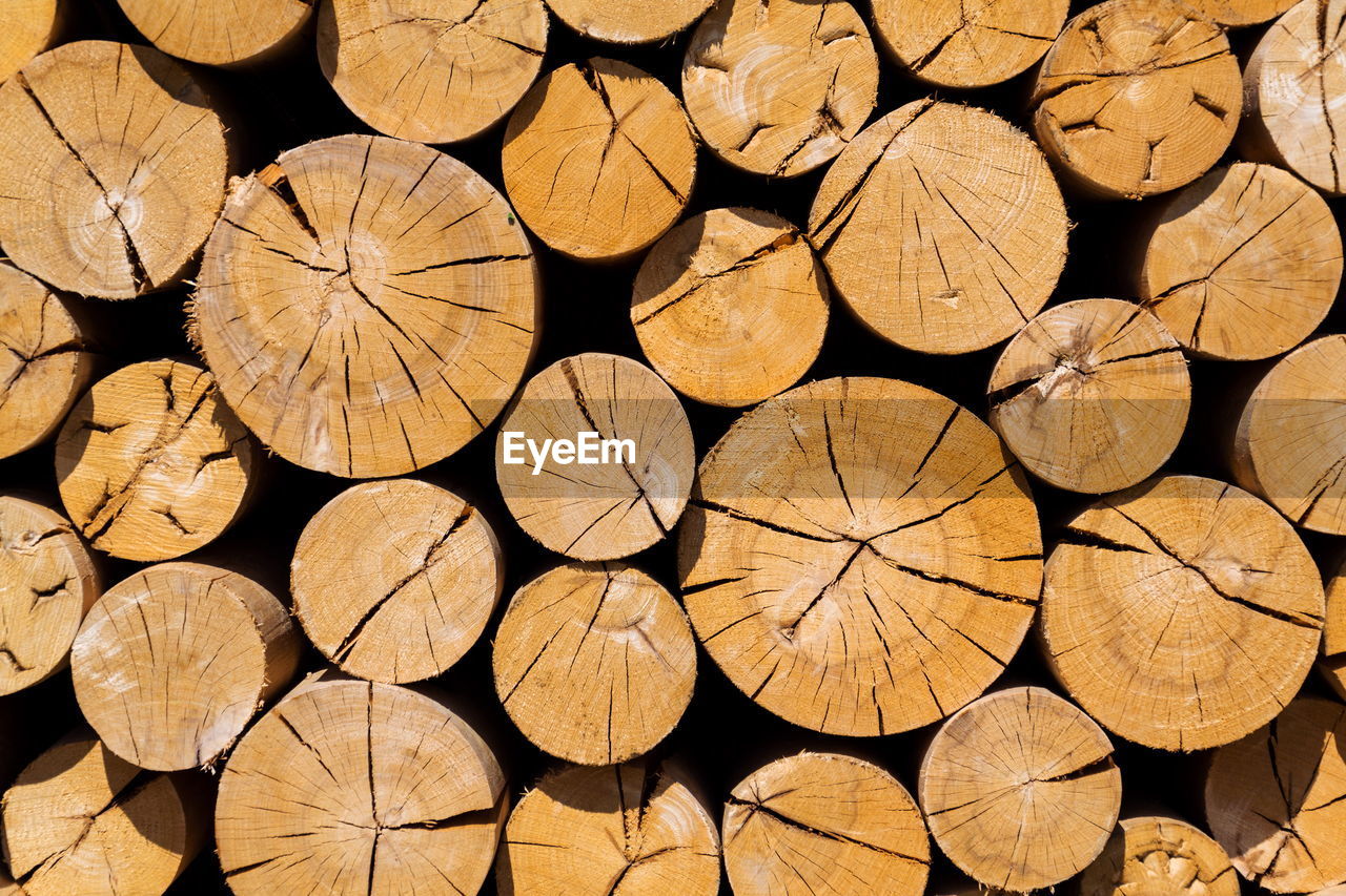 timber, wood, lumber industry, backgrounds, log, large group of objects, full frame, tree, firewood, forest, deforestation, abundance, environmental issues, power generation, pattern, no people, shape, circle, fossil fuel, geometric shape, cross section, textured, heap, woodpile, repetition, close-up, leaf, nature, branch, arrangement, logging, environmental damage, flooring, brown, outdoors, soil, lumber