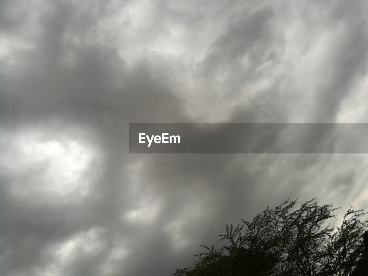 LOW ANGLE VIEW OF TREE AGAINST CLOUDY SKY