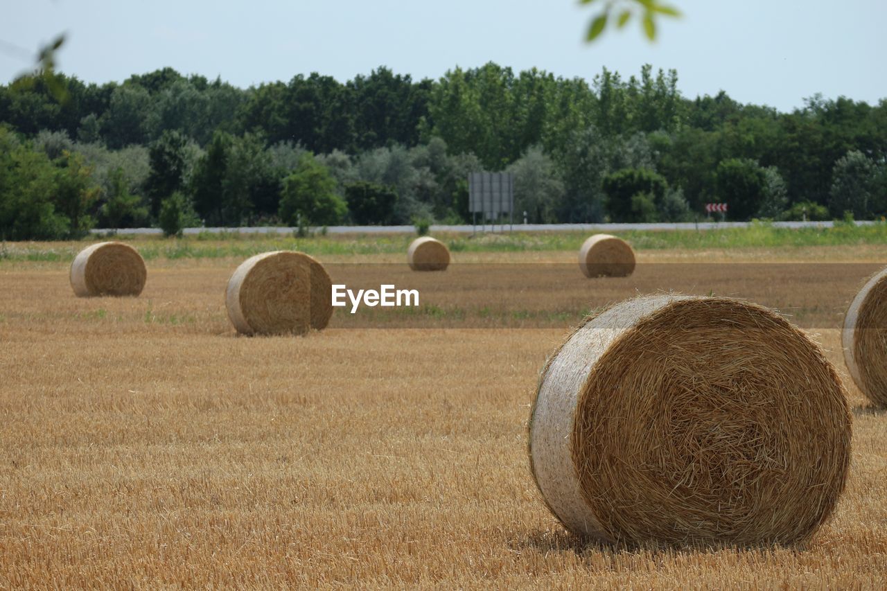 Hay bales on field against sky