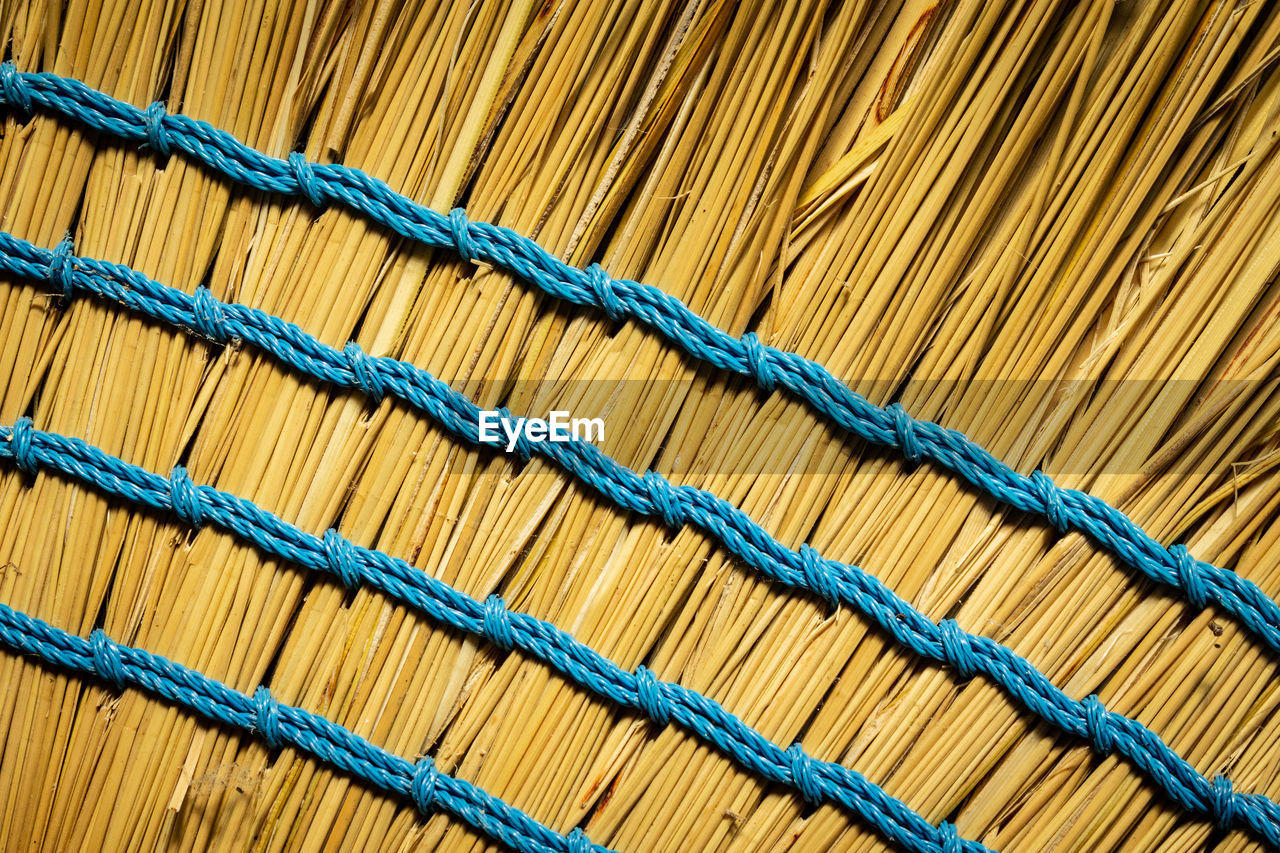 Close-up of broom 