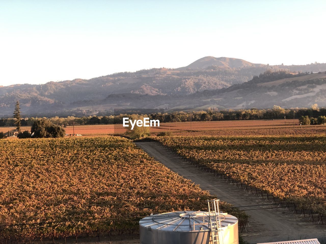 VIEW OF AGRICULTURAL FIELD AGAINST SKY