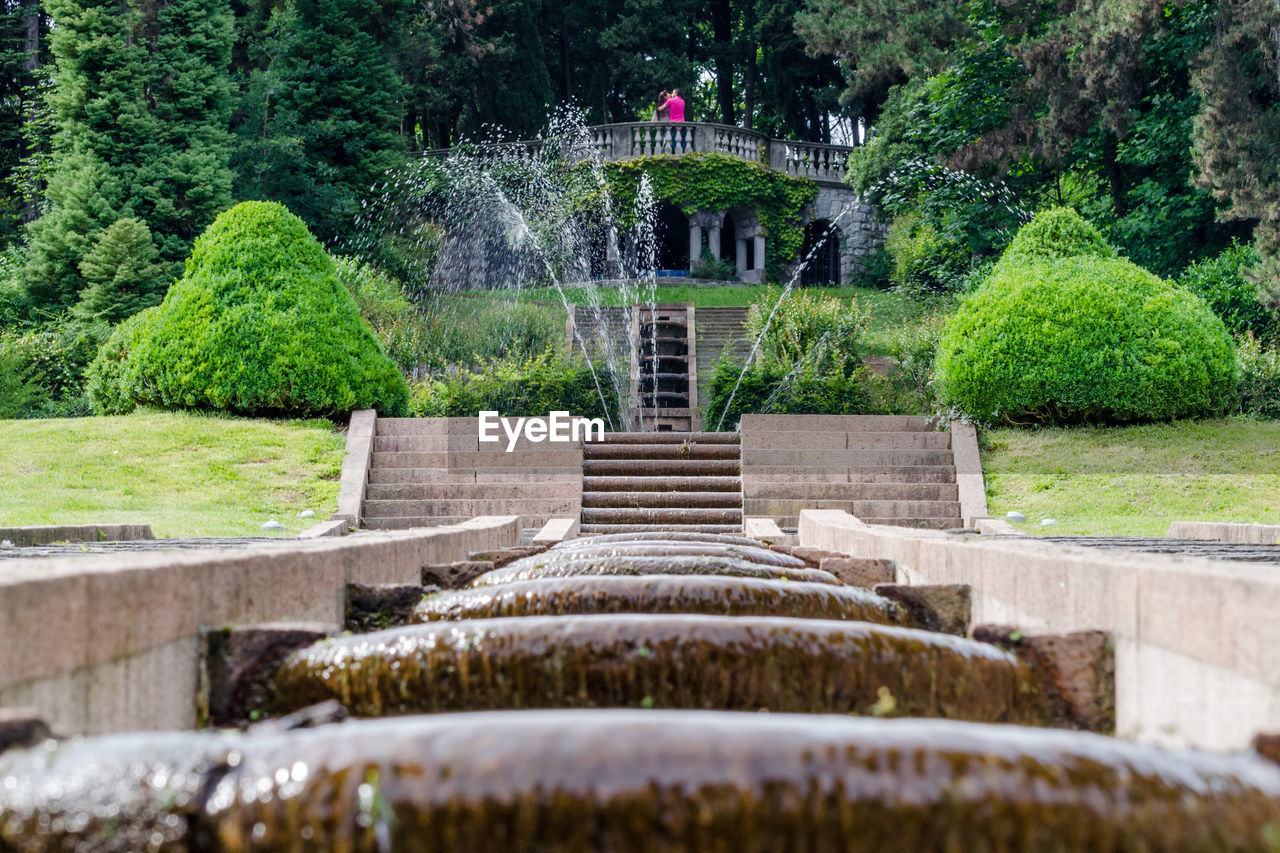 Low angle view of fountain amidst trees in park