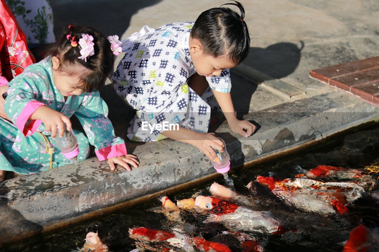 Boys, asian women in japanese clothing, sit and feed koi fish by the pond and in the soft sunlight.