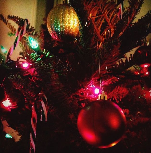 DECORATED CHRISTMAS TREE AT NIGHT