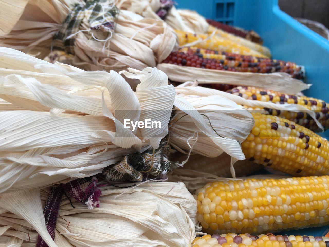 Detail shot of cob corns