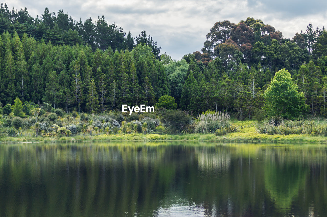 SCENIC VIEW OF LAKE WITH TREES REFLECTION AGAINST SKY