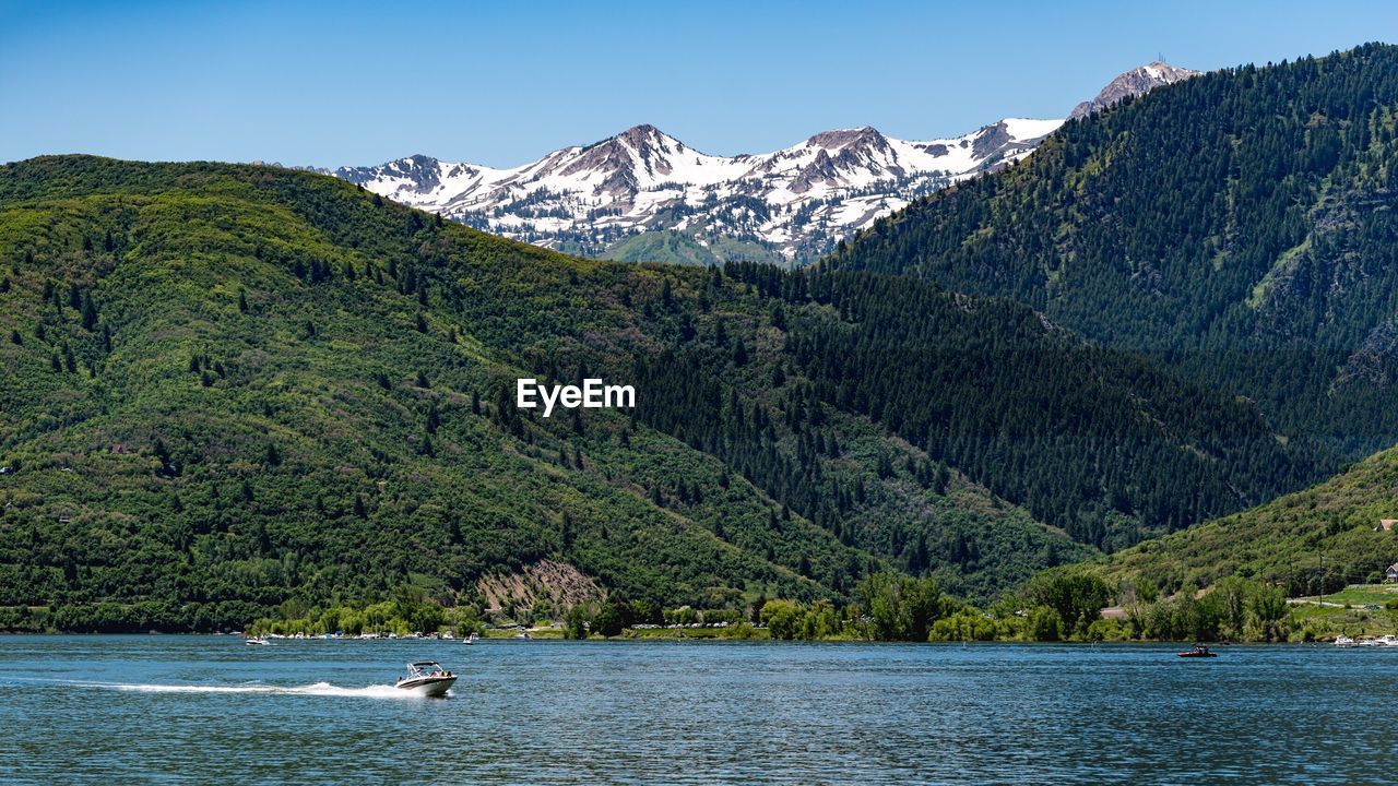 SCENIC VIEW OF RIVER AMIDST TREES AGAINST CLEAR SKY