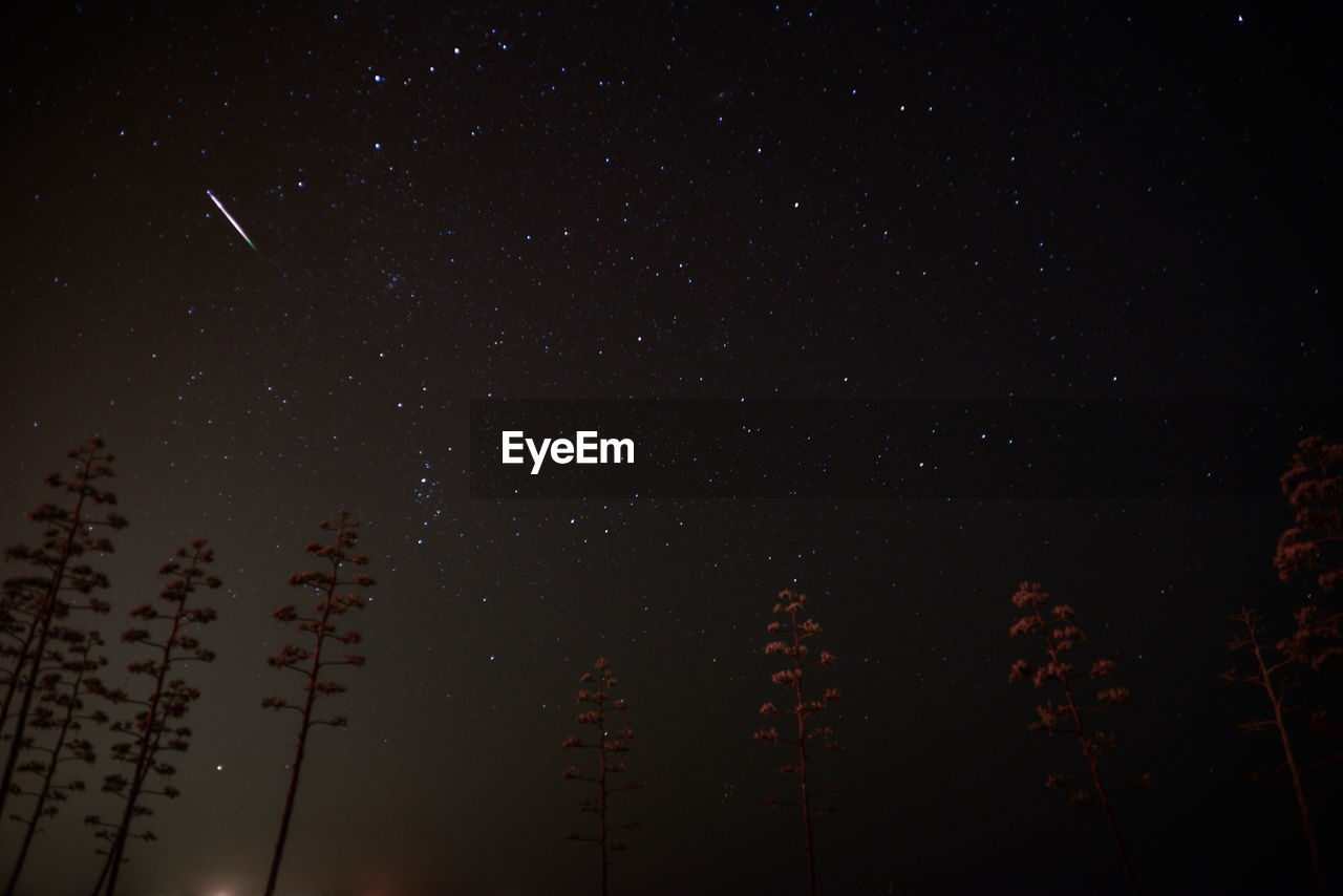 STAR FIELD AGAINST SKY AT NIGHT