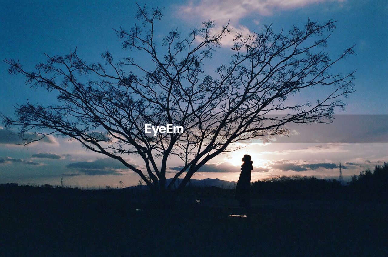 Silhouette woman looking at bare tree during sunset