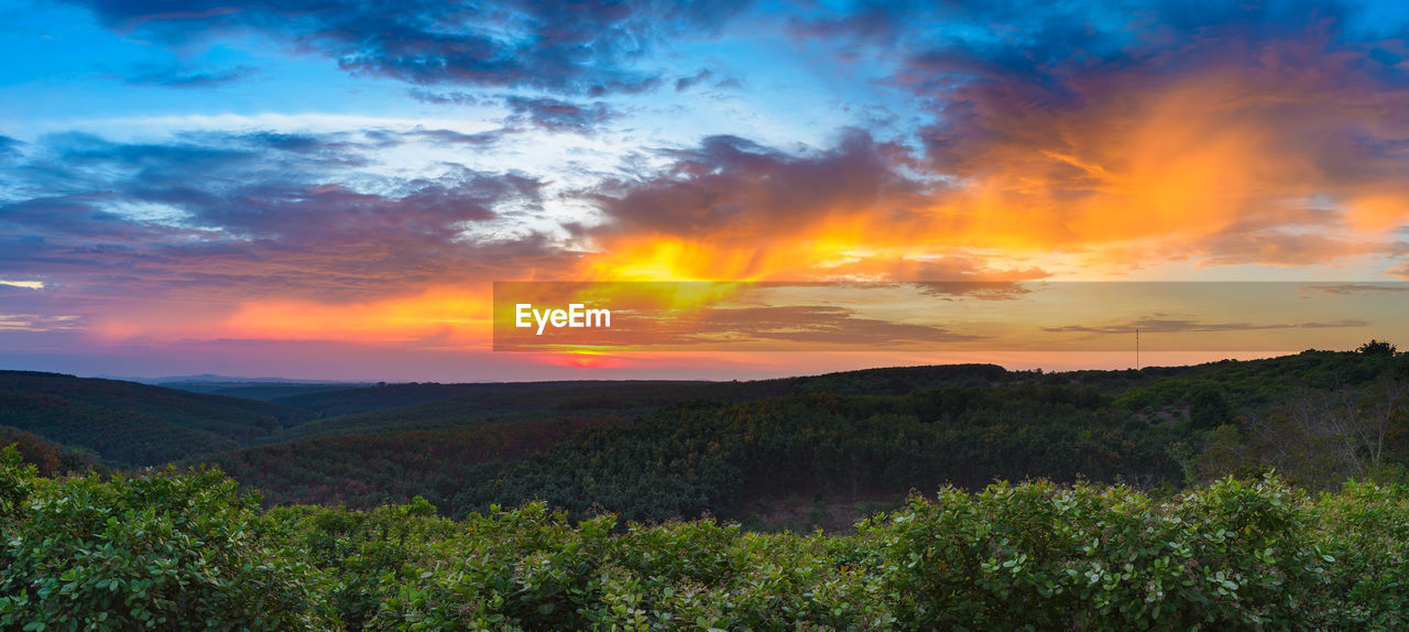 SCENIC VIEW OF LANDSCAPE DURING SUNSET