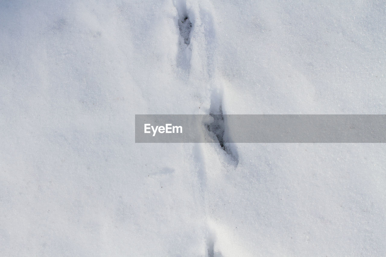 HIGH ANGLE VIEW OF SNOWCAPPED FIELD