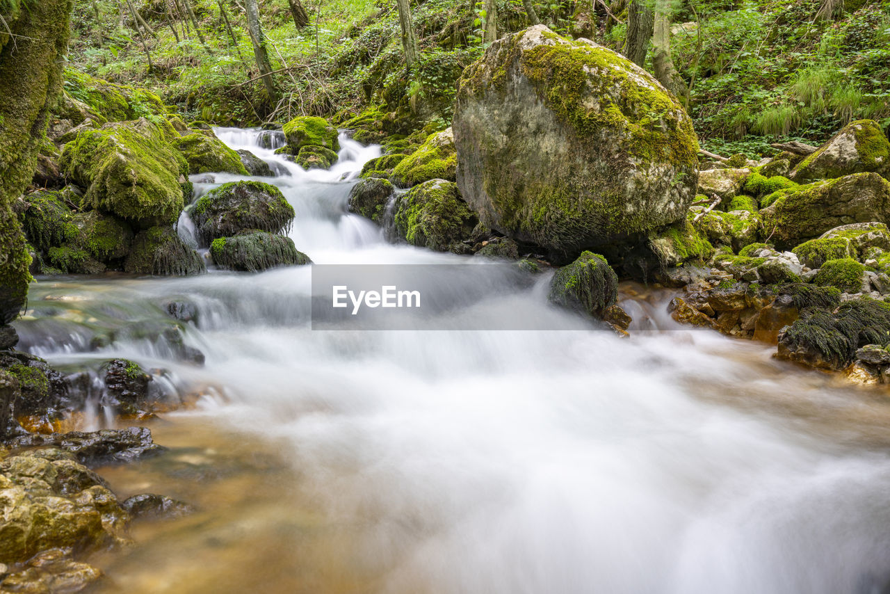 WATERFALL IN FOREST