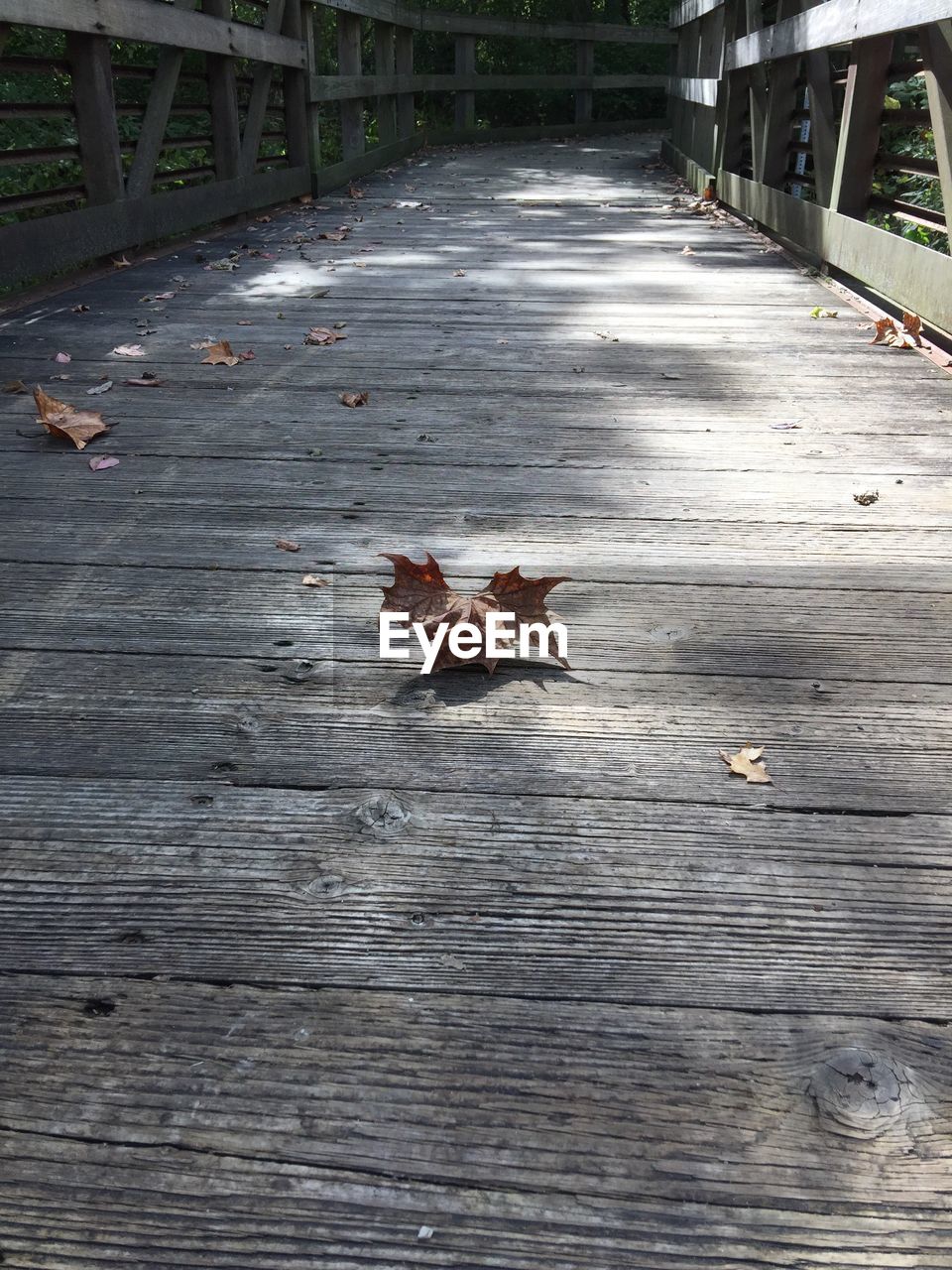 FALLEN LEAVES ON BOARDWALK