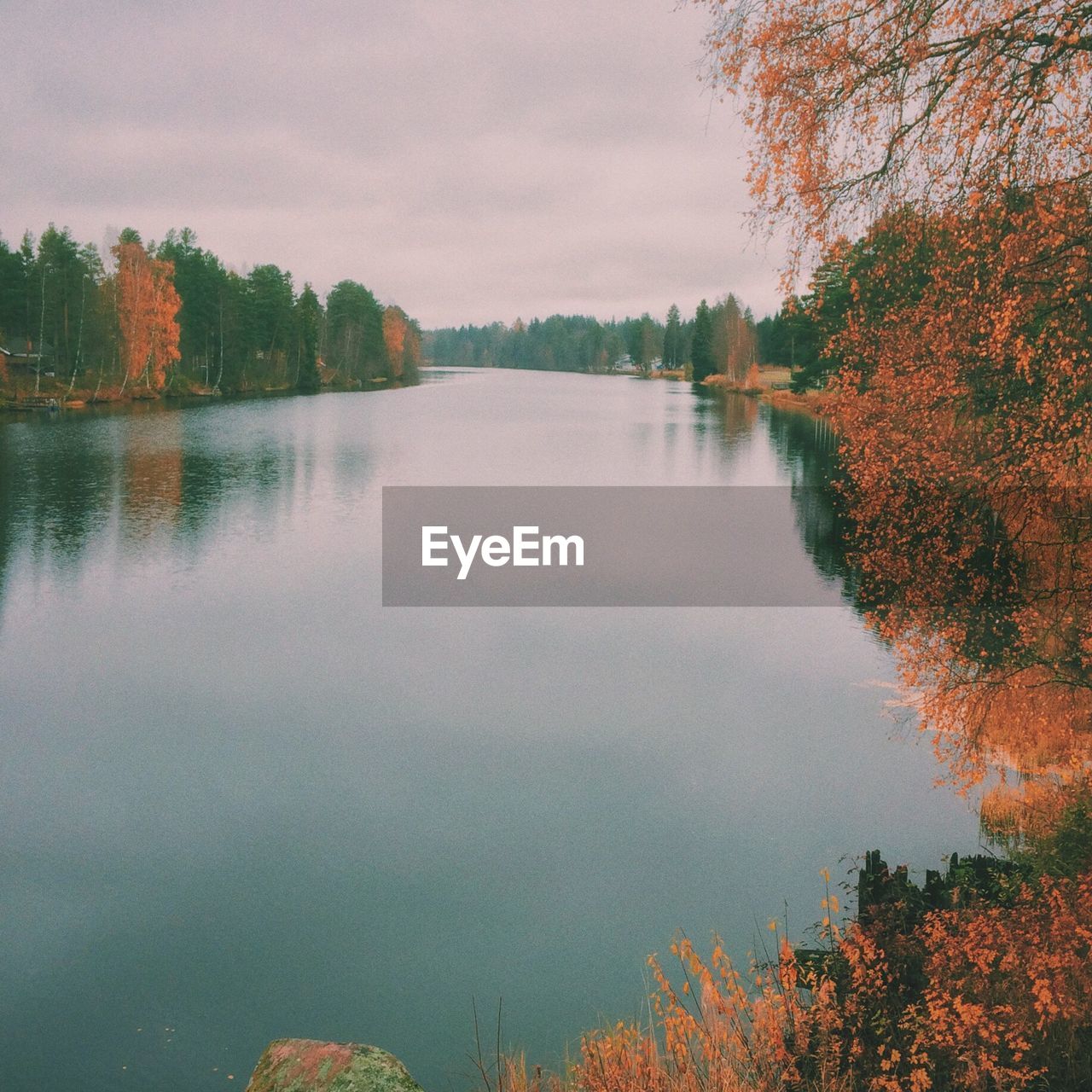 SCENIC VIEW OF LAKE IN FOREST DURING AUTUMN AGAINST SKY