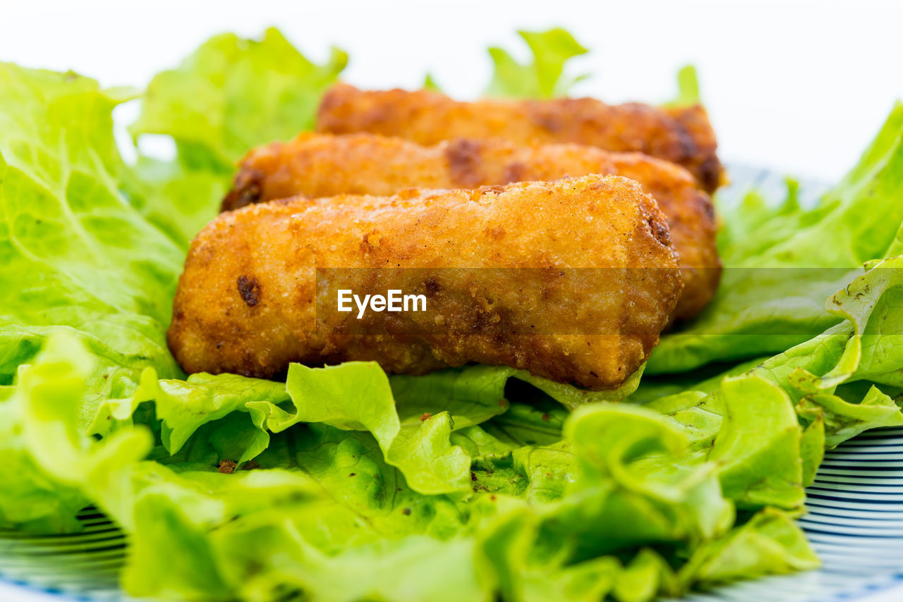 Close-up of spring rolls on lettuce