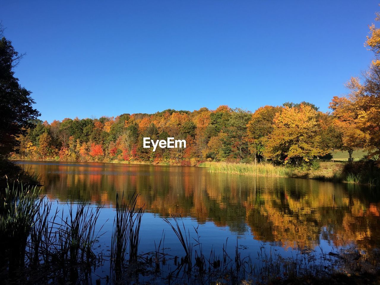 Reflection of trees on river during autumn