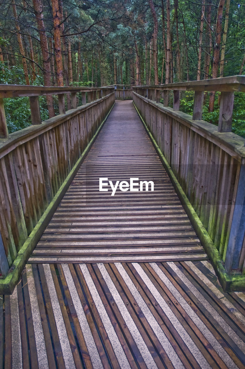 WALKWAY PASSING THROUGH FOREST