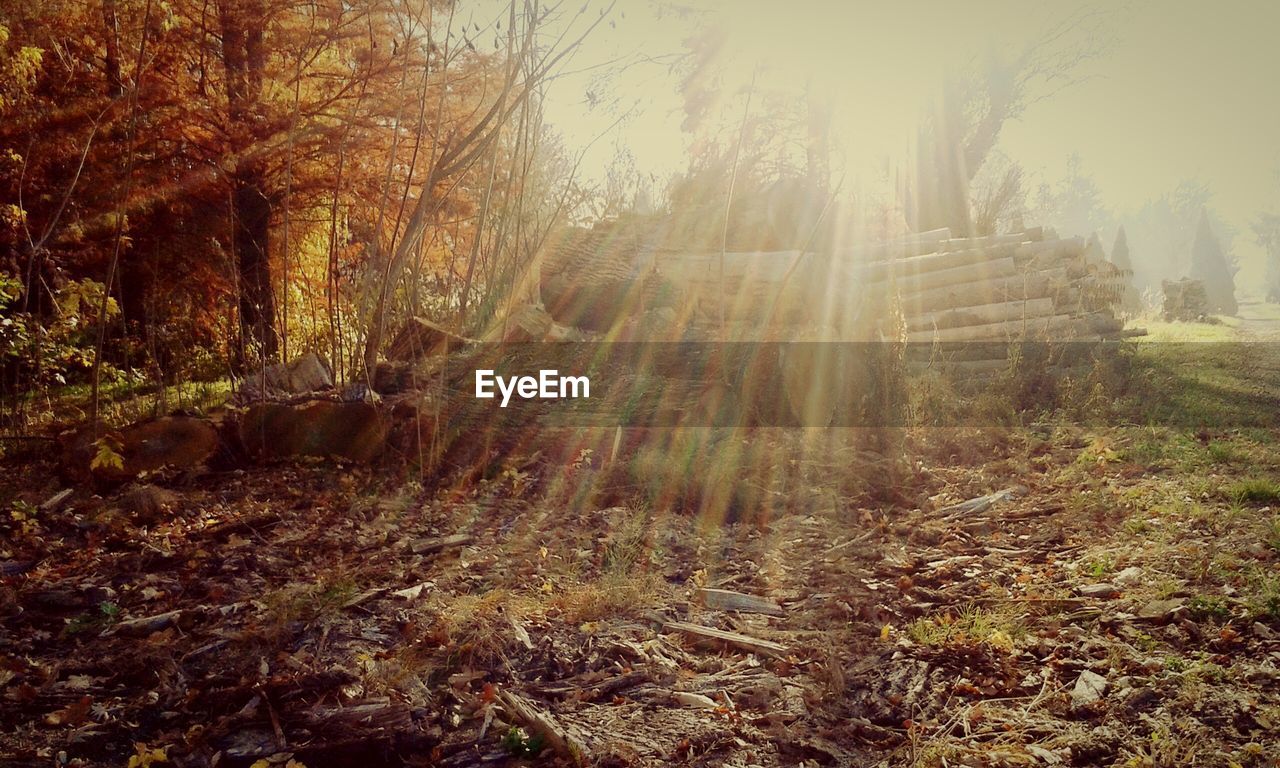 Low angle view of wood stack on field