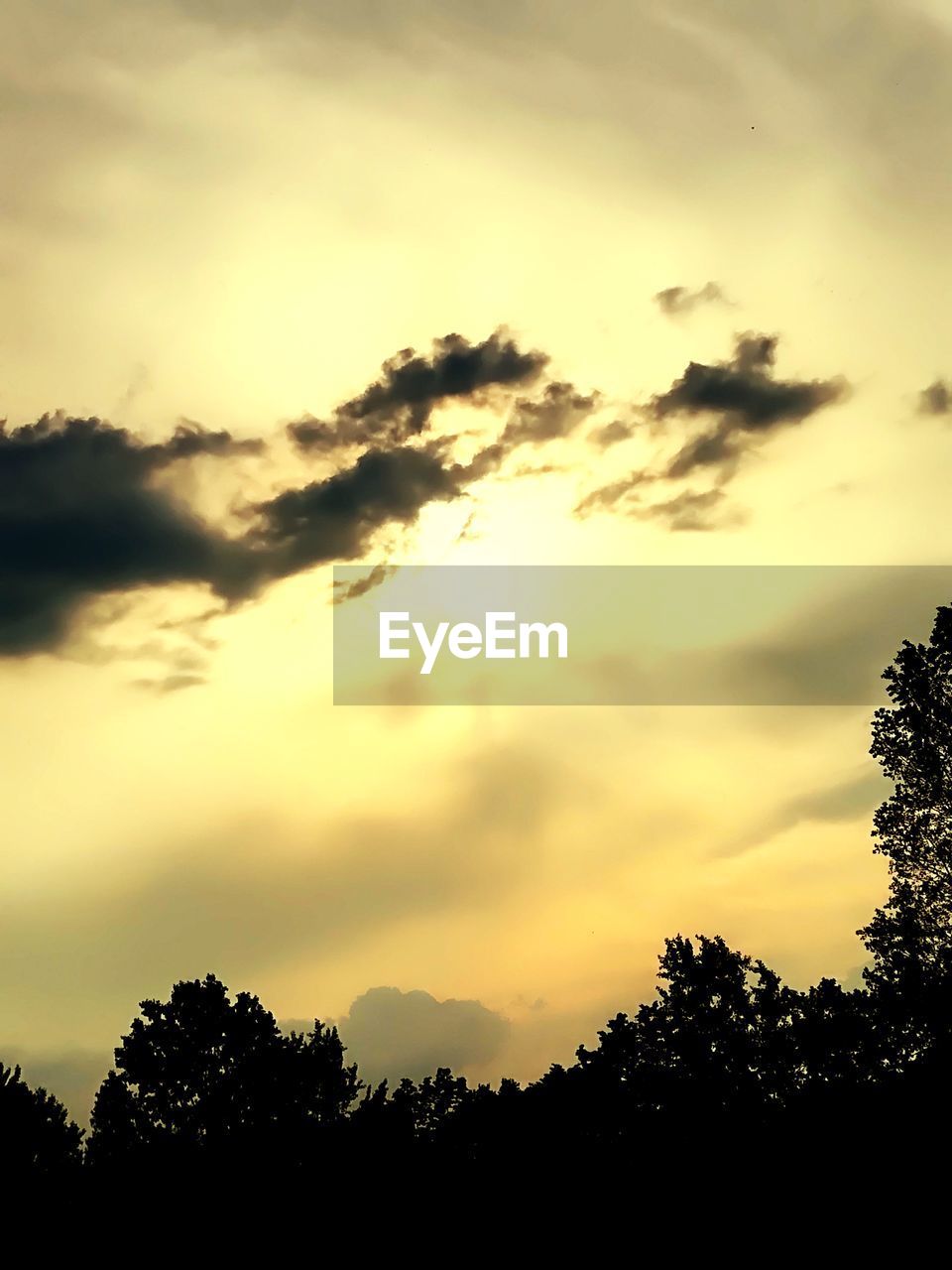 LOW ANGLE VIEW OF SILHOUETTE TREES AGAINST DRAMATIC SKY