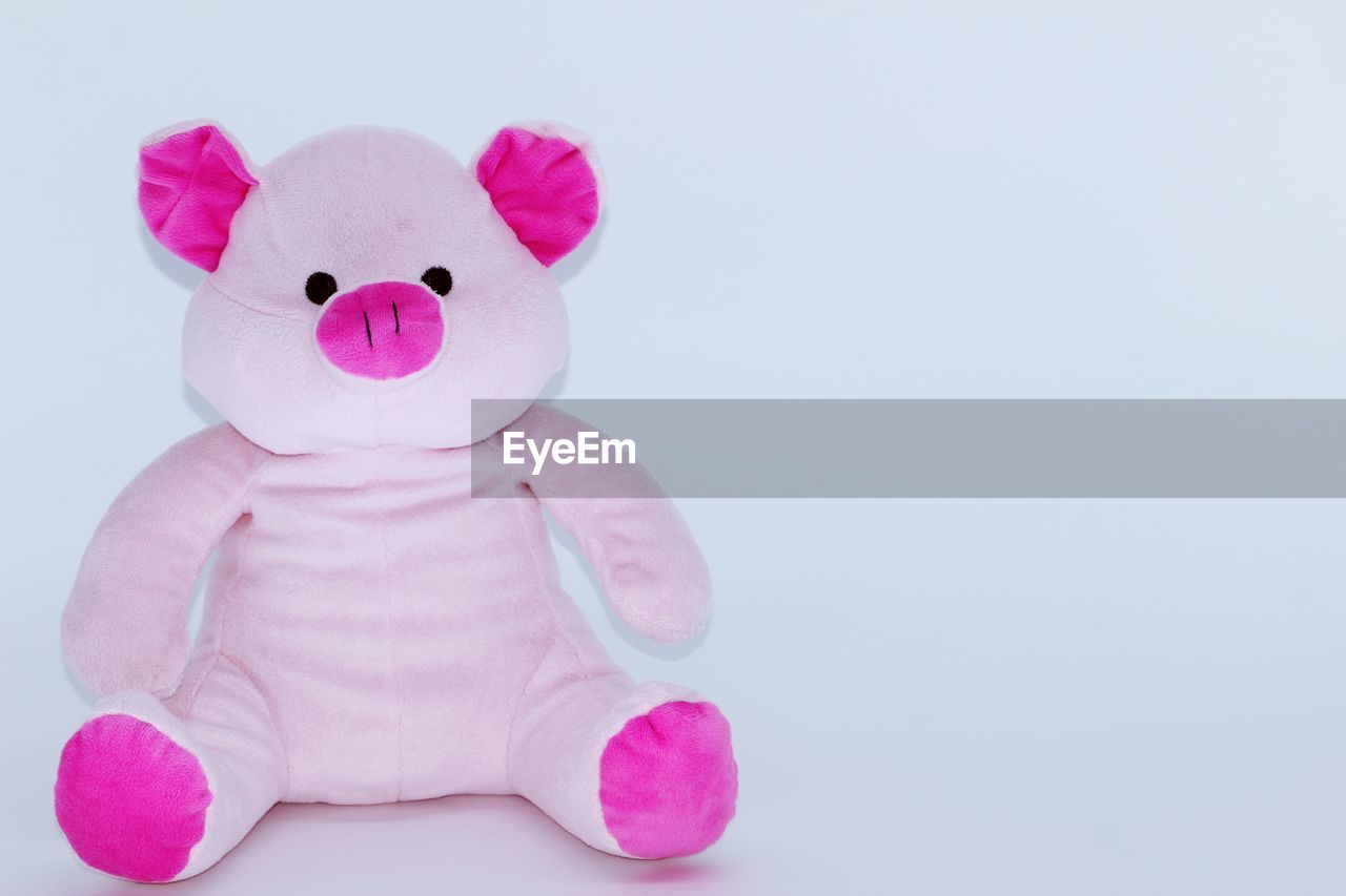 Close-up of stuffed toy against white background