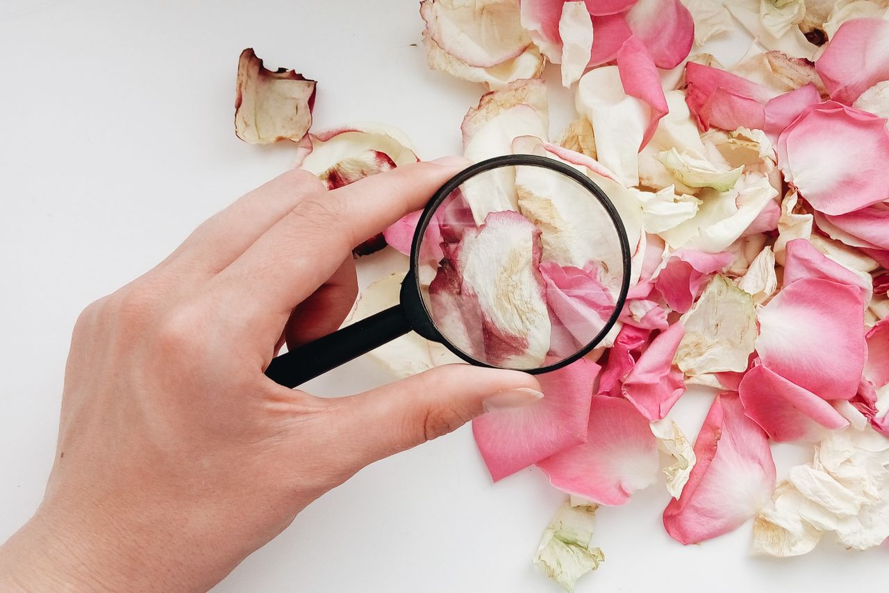 Close-up of petals through magnifying glass