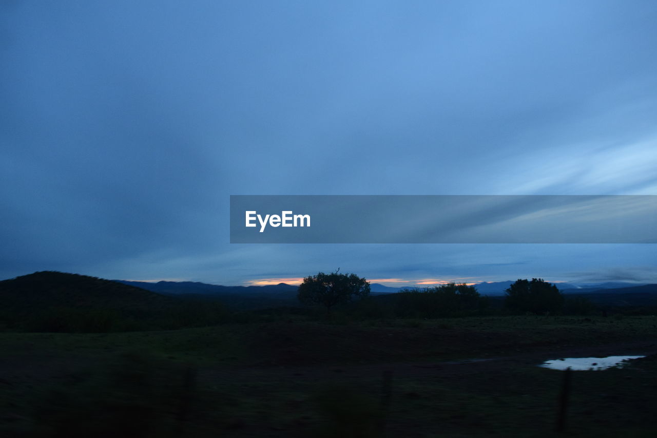 SCENIC VIEW OF TREES ON FIELD AGAINST SKY