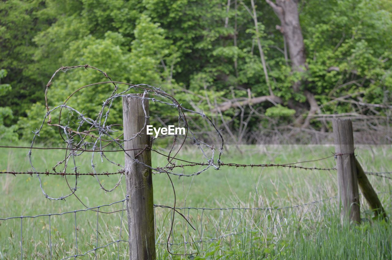 Barbed wire fence on grassy field