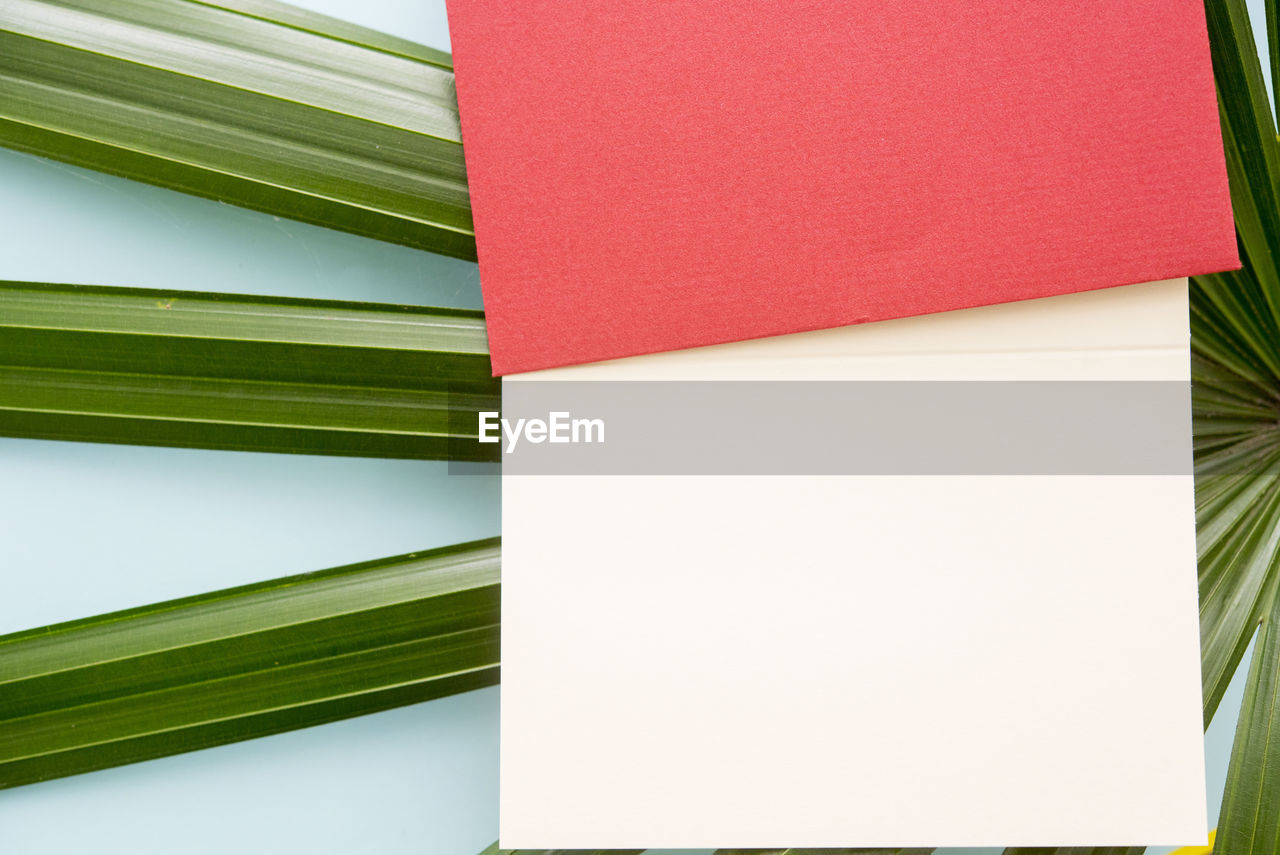 Close-up of multi colored papers on palm leaves against white background