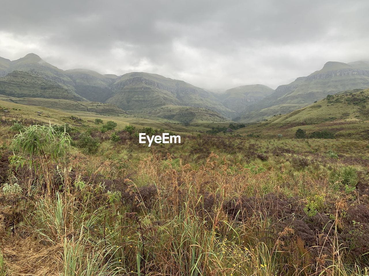 SCENIC VIEW OF LANDSCAPE
