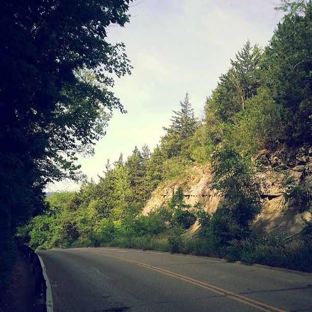 ROAD PASSING THROUGH TREES