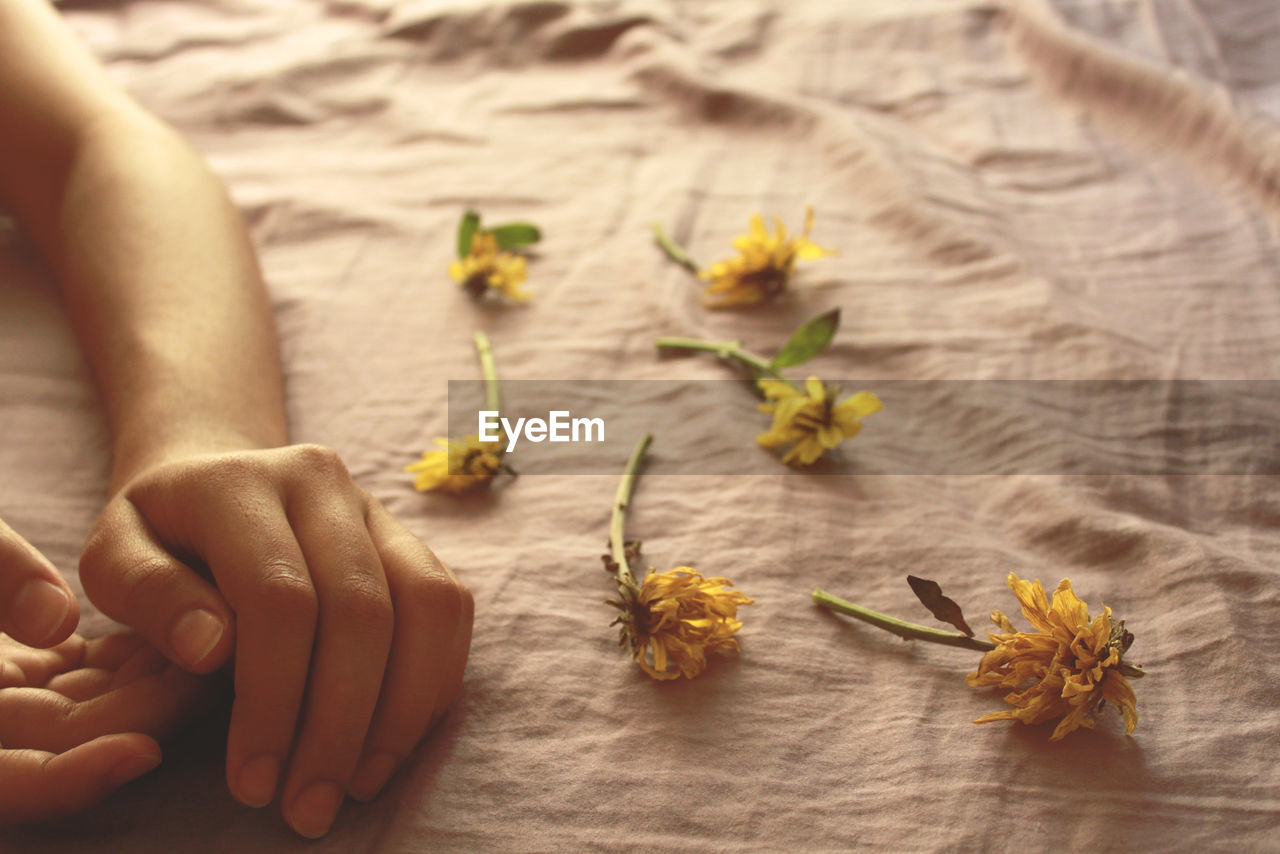 Close-up hands and flowers on table