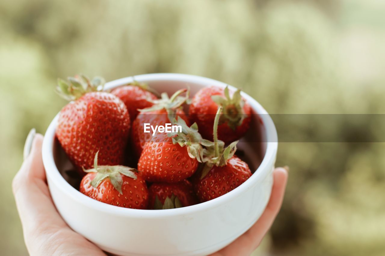 Close-up of hand holding strawberries