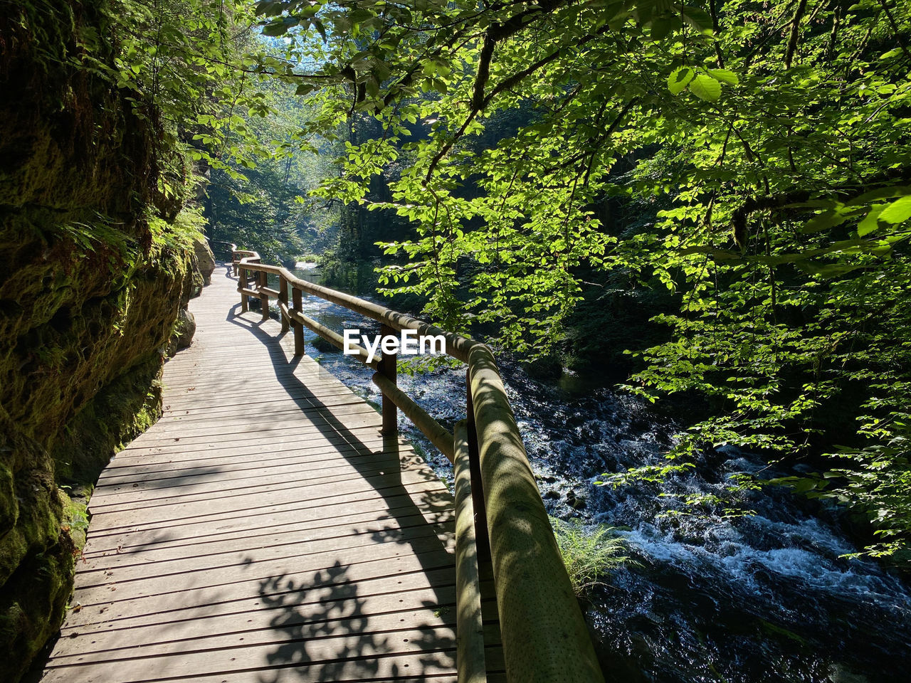 BRIDGE OVER RIVER IN FOREST