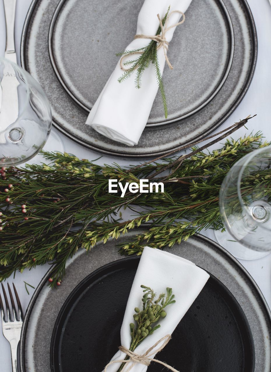 HIGH ANGLE VIEW OF POTTED PLANT ON PLATE