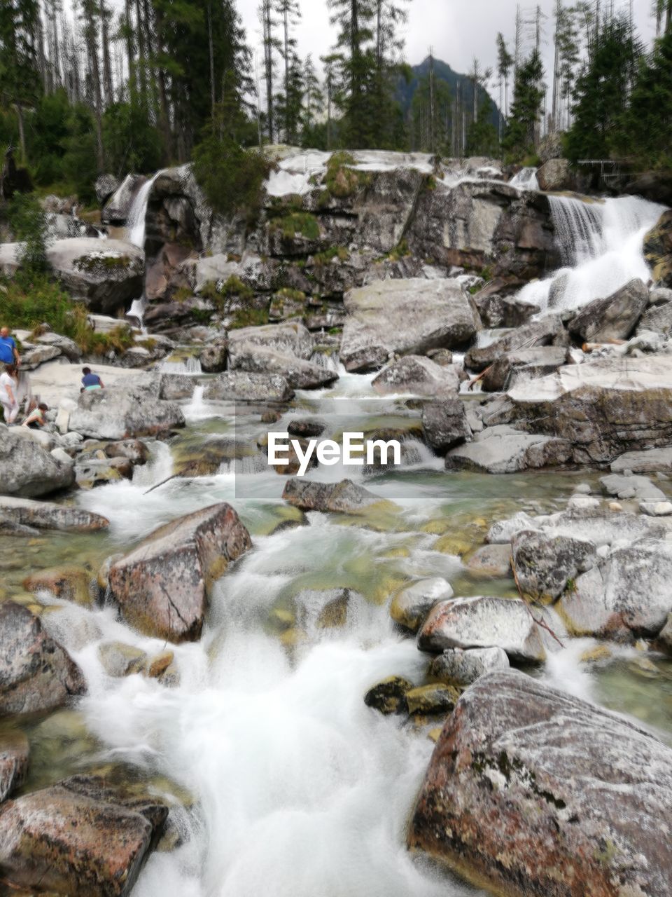 WATERFALL IN FOREST