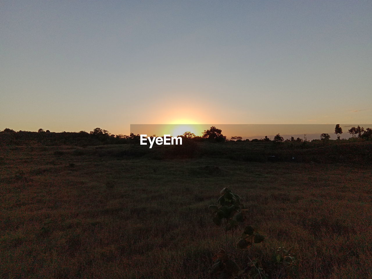 SCENIC VIEW OF FIELD AGAINST CLEAR SKY AT SUNSET