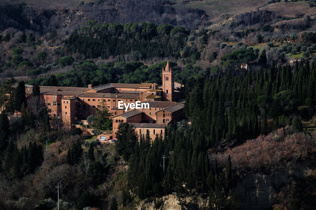 PANORAMIC VIEW OF TREES AND BUILDINGS