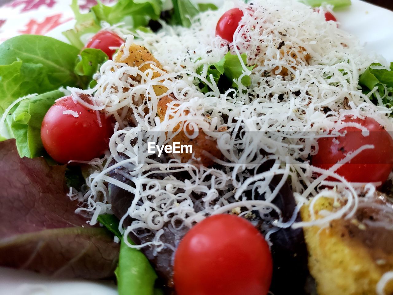 CLOSE-UP OF FRESH TOMATOES WITH FRUITS