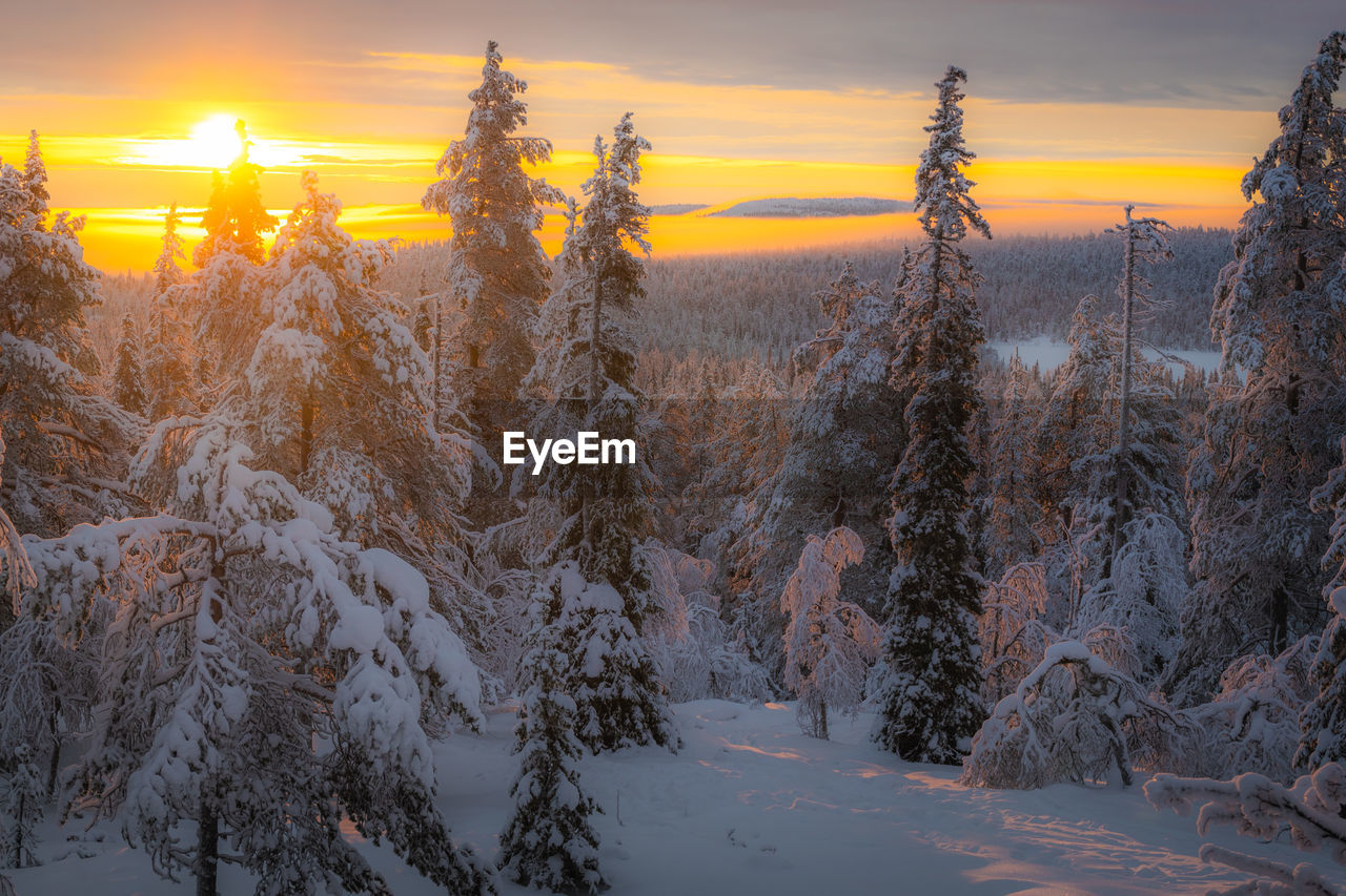 Scenic view of snow covered landscape during sunset