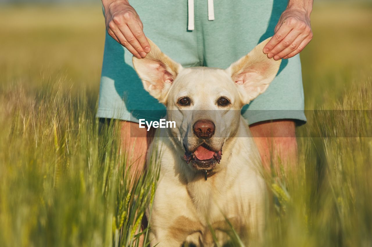 Midsection of woman with dog standing on grassy field