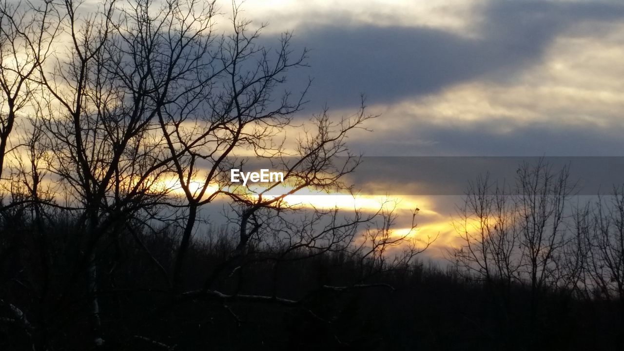 SILHOUETTE BARE TREES AGAINST SKY DURING SUNSET