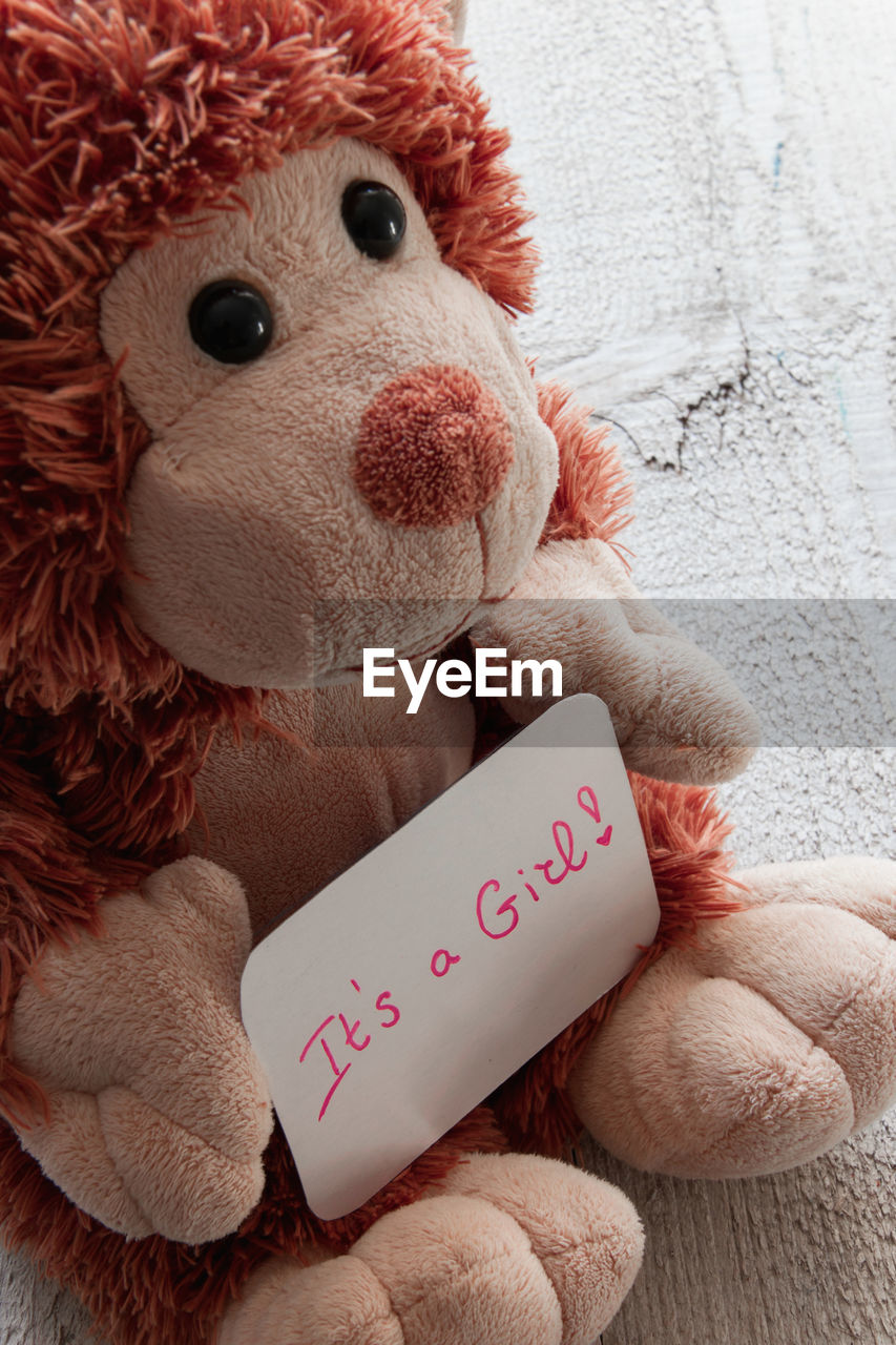 CLOSE-UP OF STUFFED TOY ON SHELF