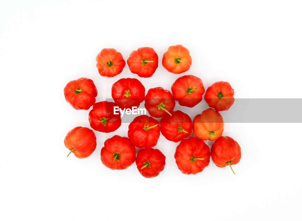 food and drink, food, healthy eating, fruit, plant, produce, wellbeing, red, freshness, cut out, tomato, white background, no people, studio shot, large group of objects, group of objects, flower, indoors, vegetable, ripe, organic, directly above, group, juicy, still life, rose hip, close-up