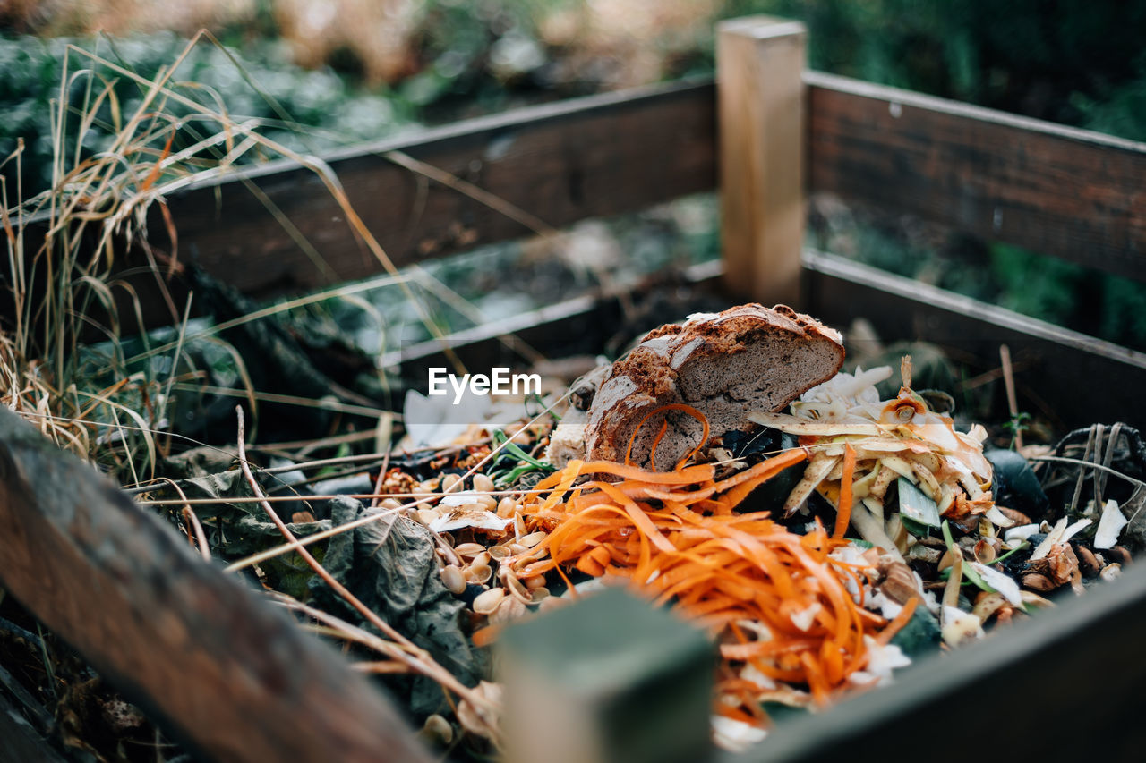 Close-up of compost outdoors