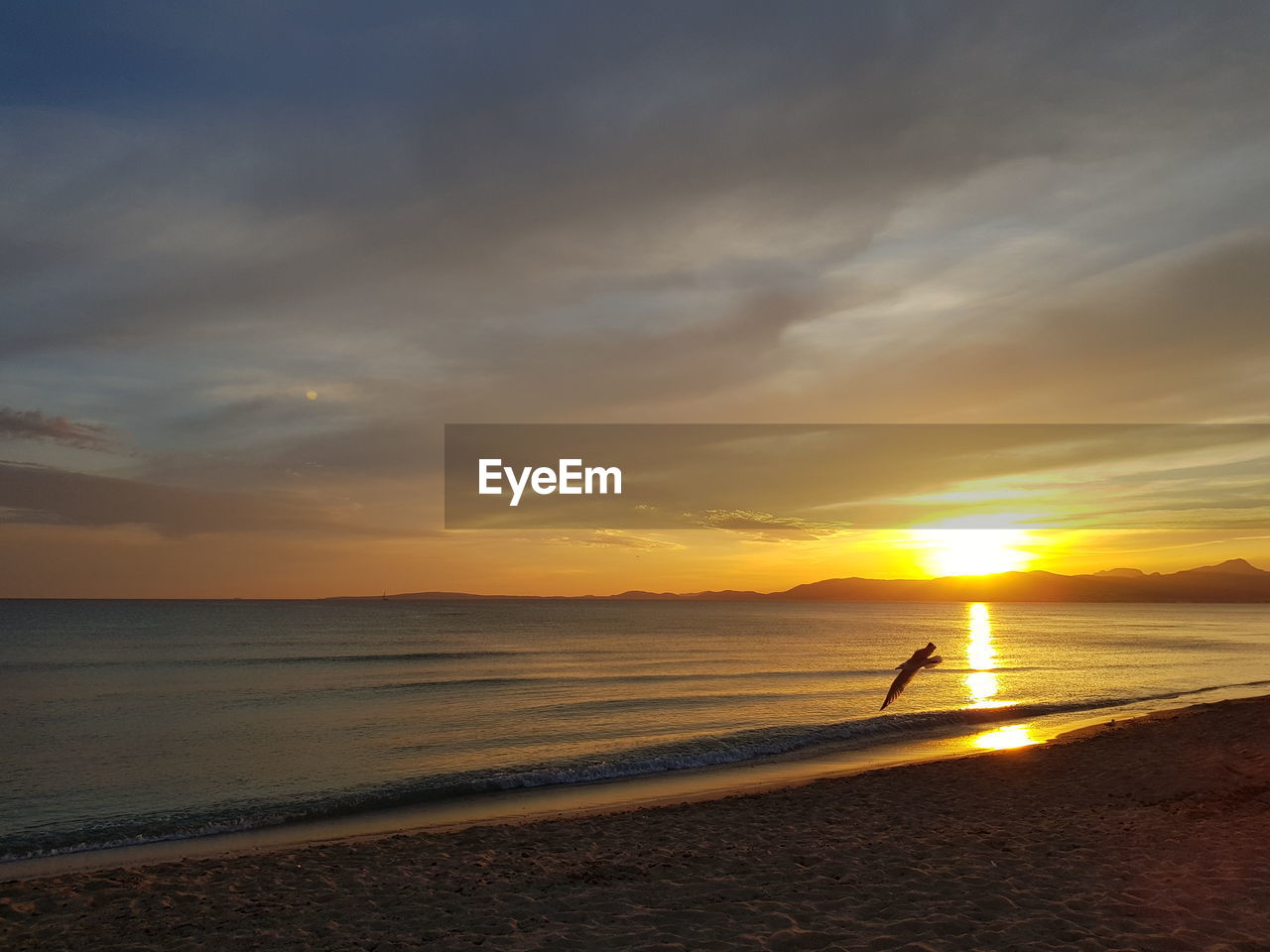 SCENIC VIEW OF SUNSET OVER SEA