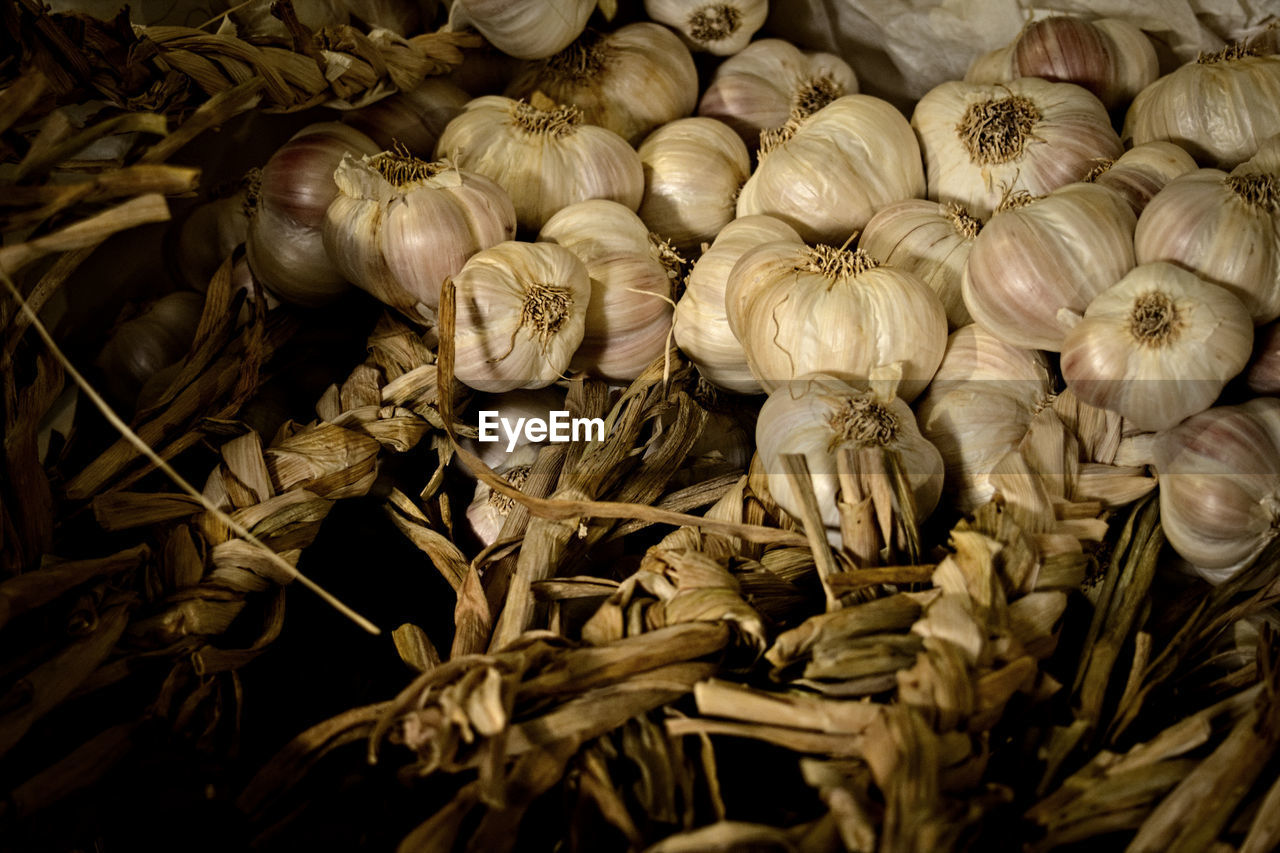 Close-up of garlic bulbs