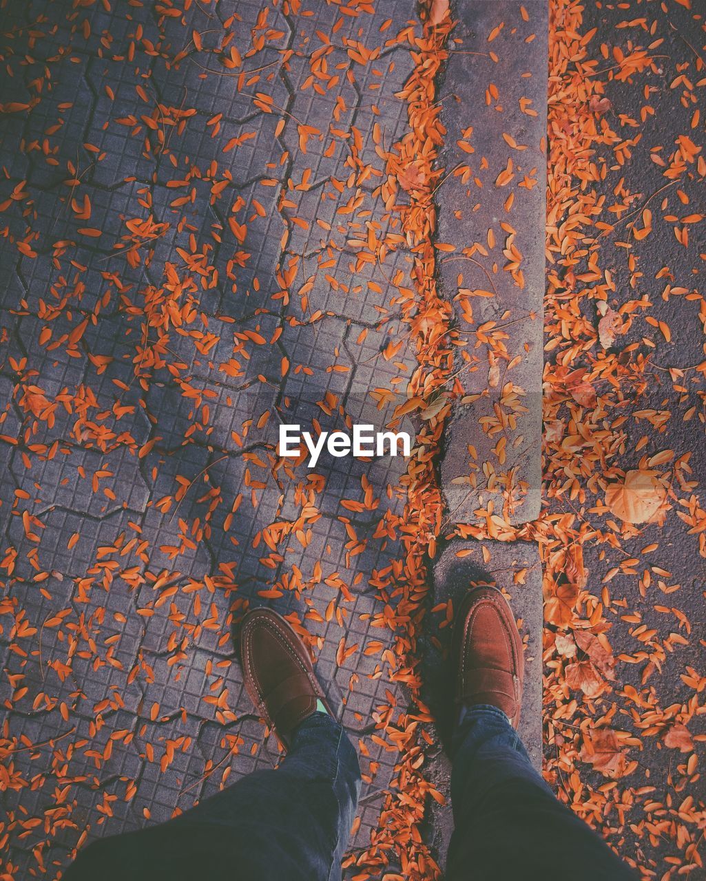 Low section of man standing on sidewalk surrounded by fallen leaves